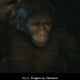 Illustration for article titled Planet Of The Apes: Last Frontier Has Great Apes, But That's About It